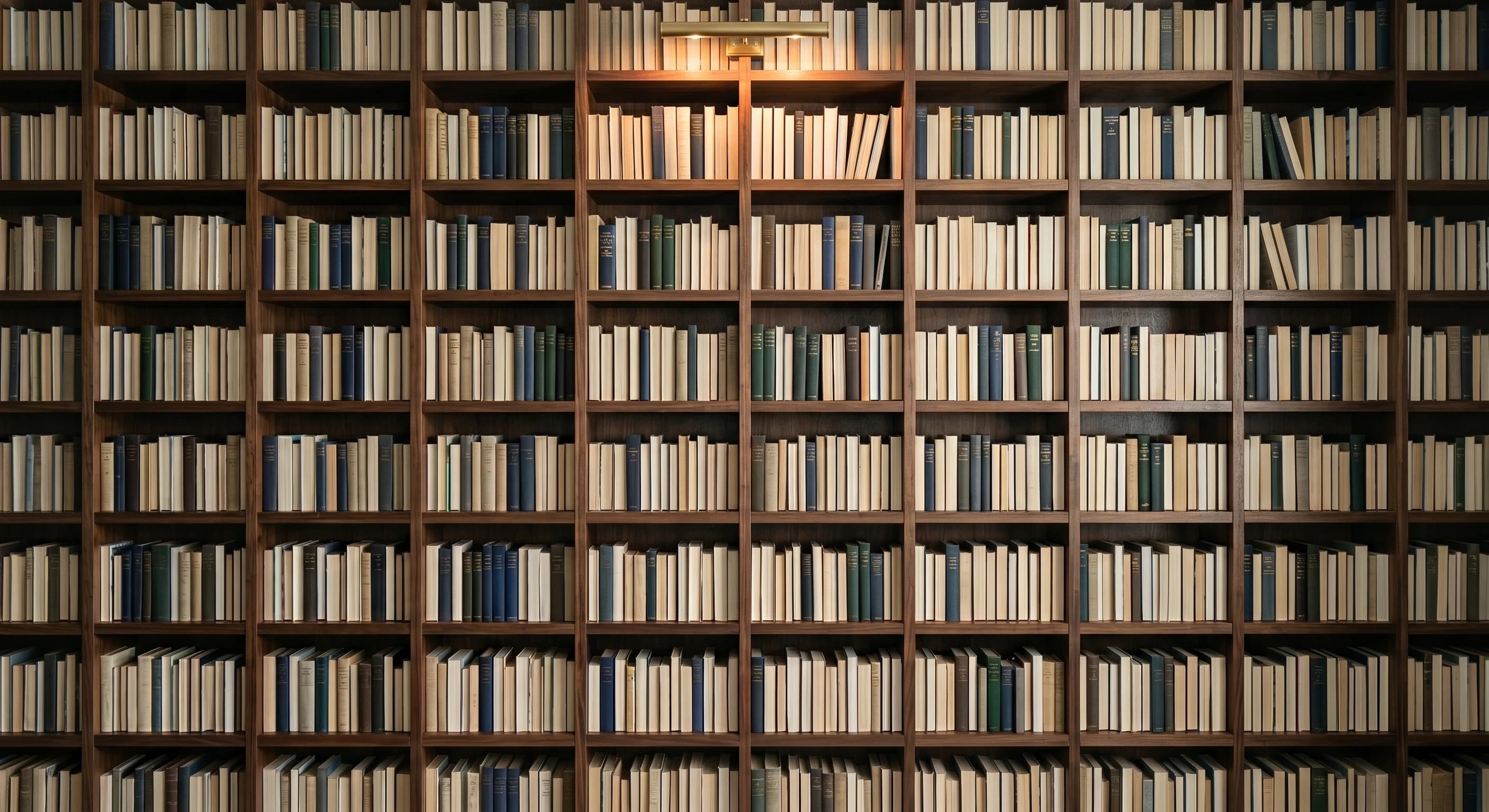 Bibliothekswand